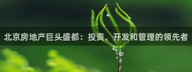 万向娱乐招商