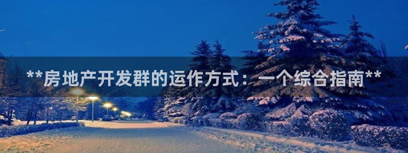 万向娱乐灯333OO