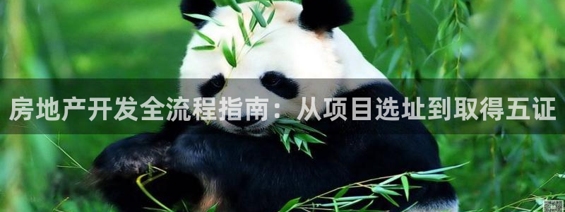 万向娱乐的联系方式有哪些