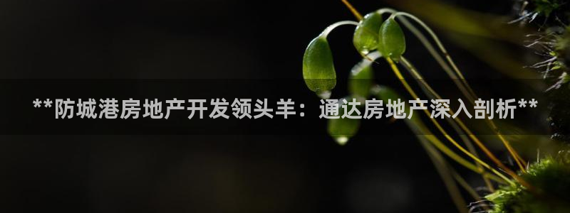 万向娱乐官网下载