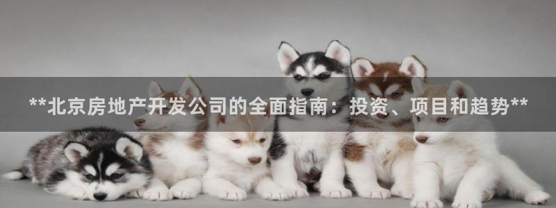 万向娱乐app下载苹果版