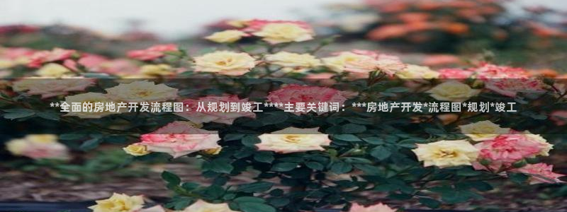 万向娱乐代理好看视频是真的吗