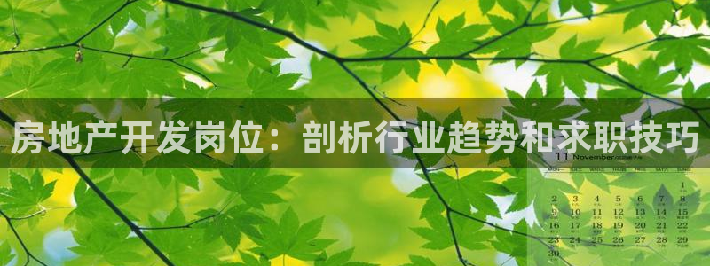万向娱乐平台代理怎么做赚钱