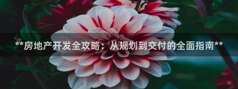 万向娱乐官网下载安装