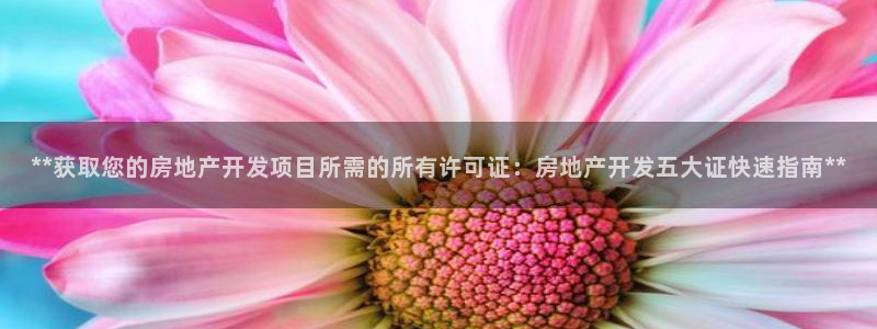 万向娱乐app下载官网