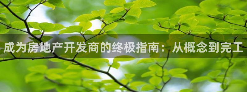万向娱乐招商
