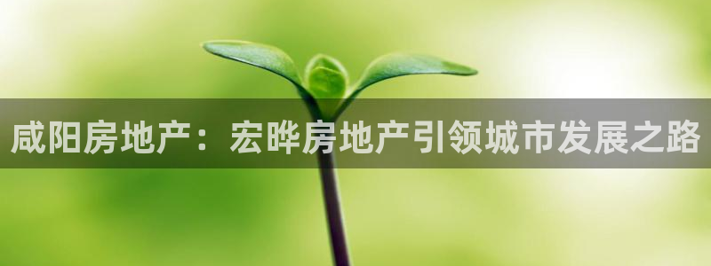 万向娱乐官网下载安装最新版
