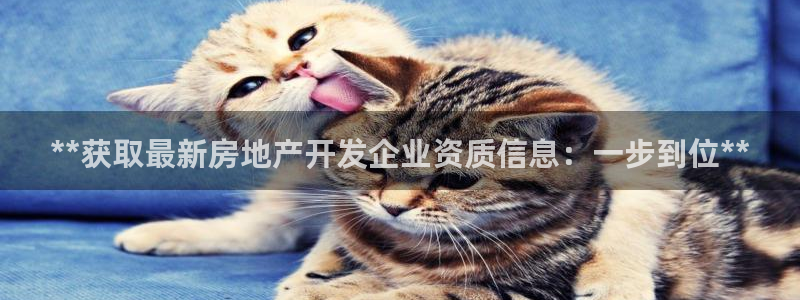 万向娱乐官网网址是什么