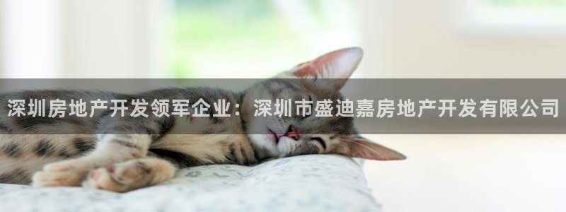 万向娱乐平台怎么下载