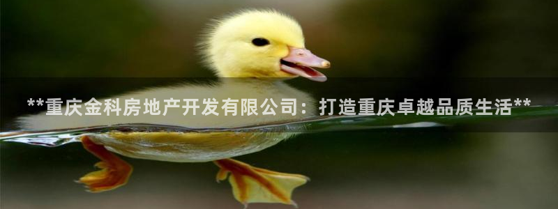 万向娱乐平台代理怎么样可靠吗