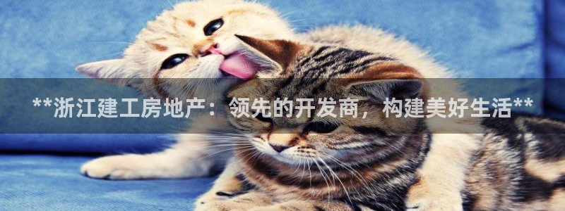 万向娱乐官网网址是什么
