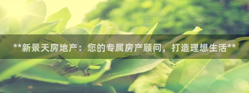 万向娱乐挂机