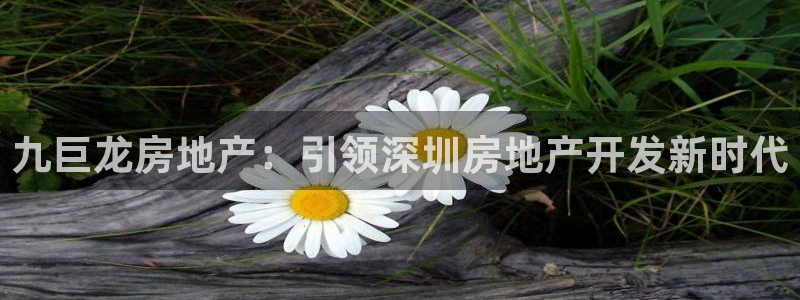 万象游戏代理