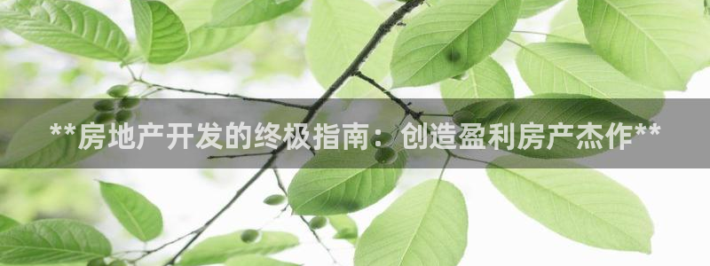 万向娱乐登陆官网入口