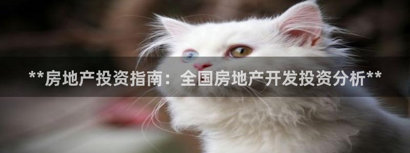 万向娱乐平台代理多少钱一年