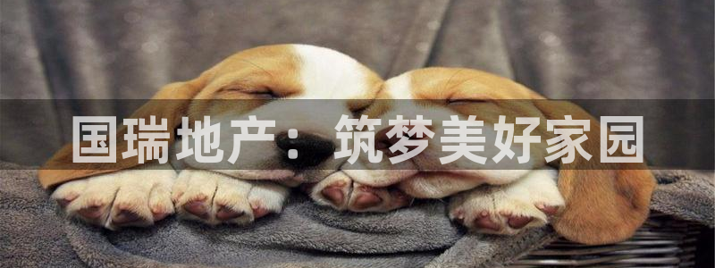 万向娱乐平台代理多少钱一年