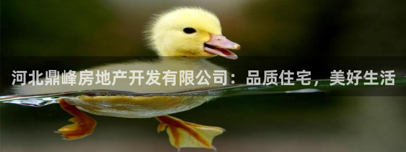 万向娱乐官网网址是什么