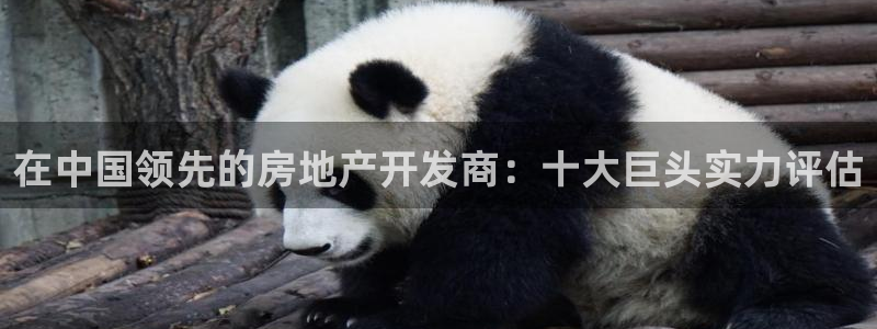 万向娱乐代理好看视频