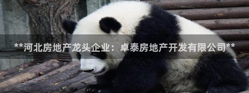 万向娱乐的联系方式