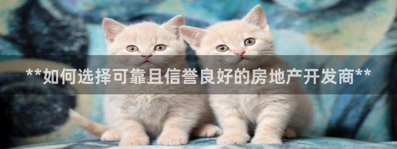 万向娱乐官网网址大全