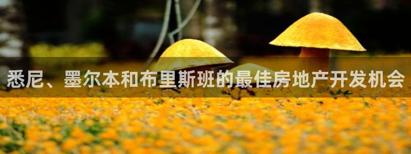 万向娱乐下载安装