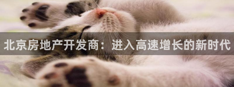 万能娱乐平台直招代理