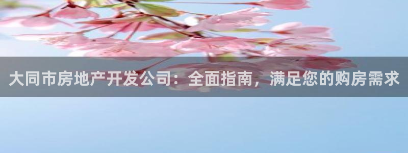 万向娱乐公司官网