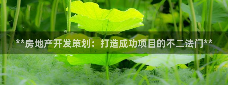 万向娱乐的494o3 主管
