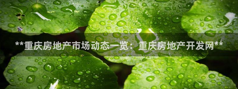 万向娱乐官网网址是什么