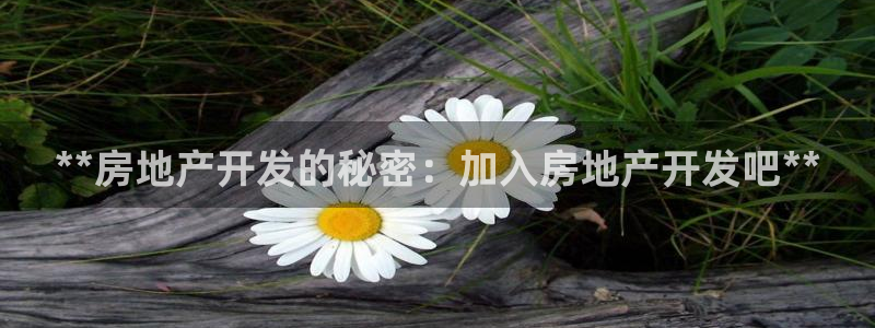 万向娱乐官网网址