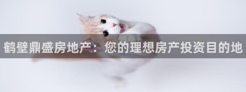 万向娱乐app下载苹果版