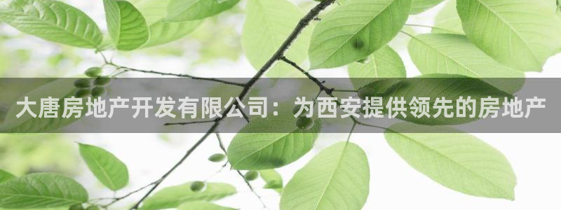 万向娱乐平台代理多少钱一年