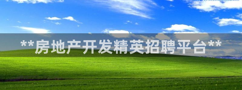 万能娱乐代理网址