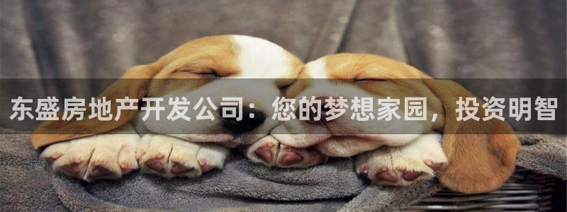 万向娱乐代理好看视频是真的吗