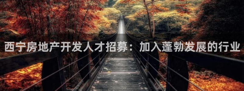 万向娱乐怎么样