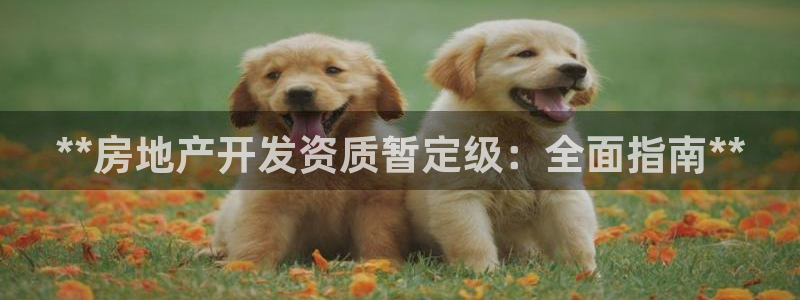 万向娱乐平台招商骗局