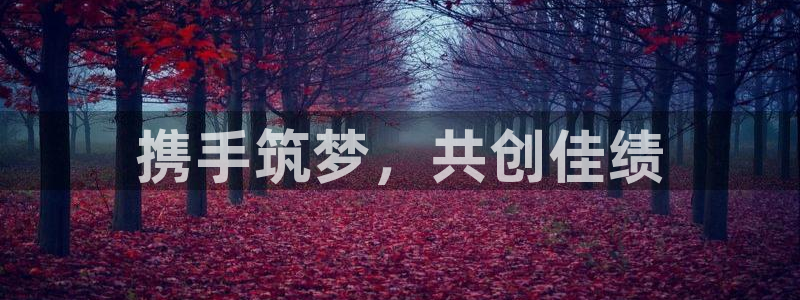 万向娱乐平台提现多久到账