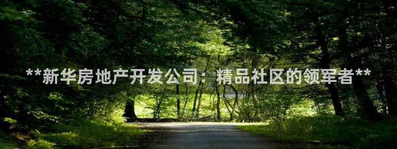 万向娱乐平台代理怎么样啊