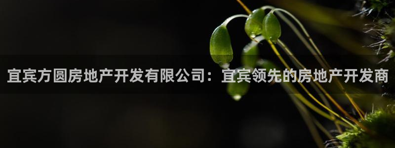 万向娱乐官网网址大全