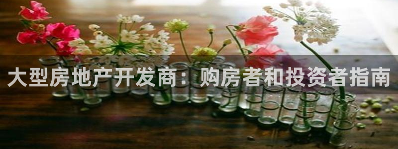万向娱乐是野鸡台吗