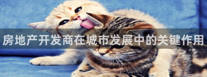 万向娱乐挂机软件