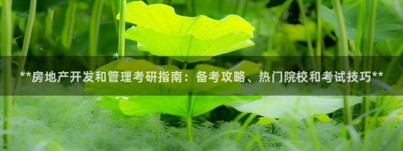 万向娱乐总代
