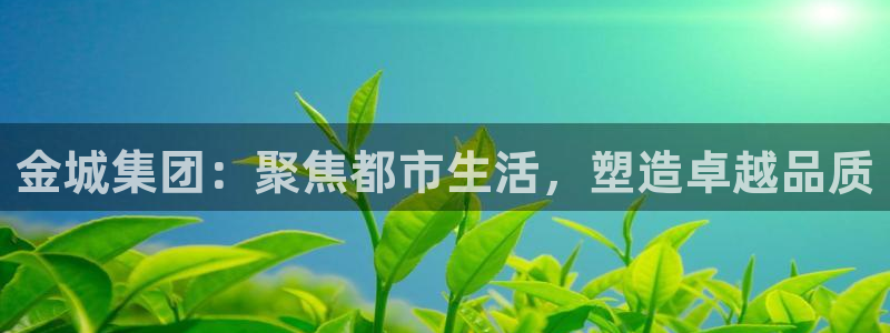 万向娱乐网址是什么