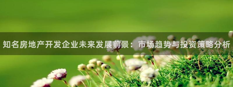 万向娱乐平台代理怎么样