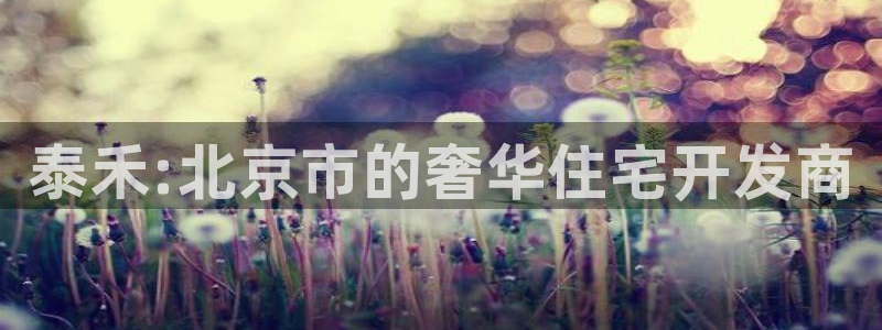 万向娱乐平台代理怎么做