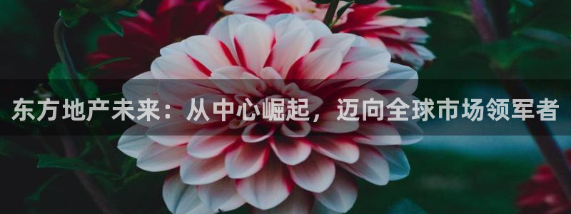 万向娱乐平台代理怎么做
