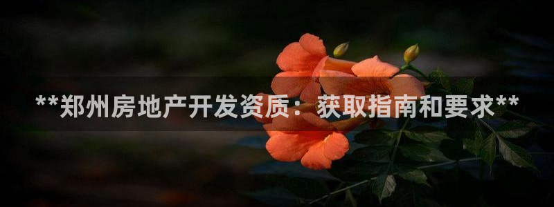 万向娱乐app下载