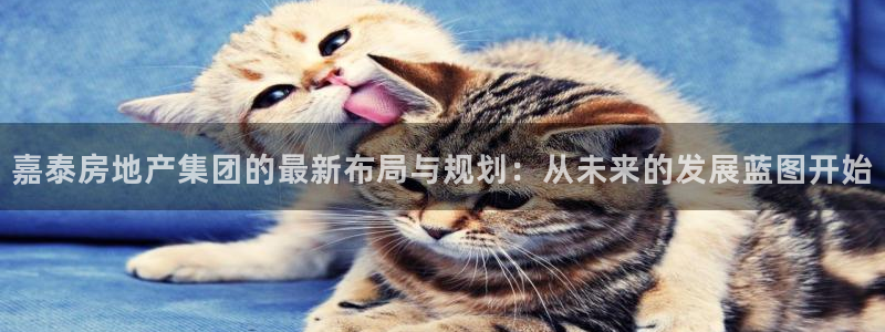 万向娱乐平台下载安装手机版