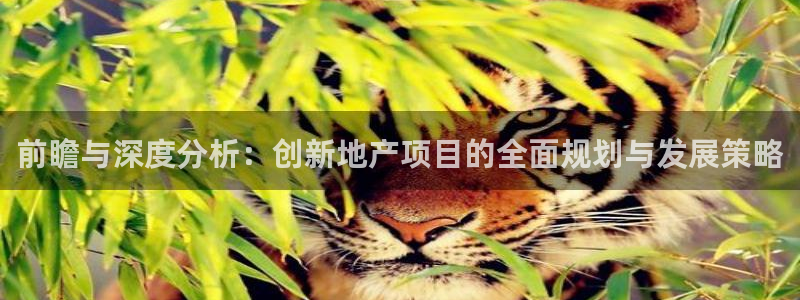 万向娱乐app下载官网
