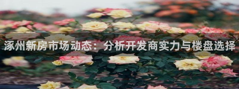 万向娱乐平台下载安装手机版